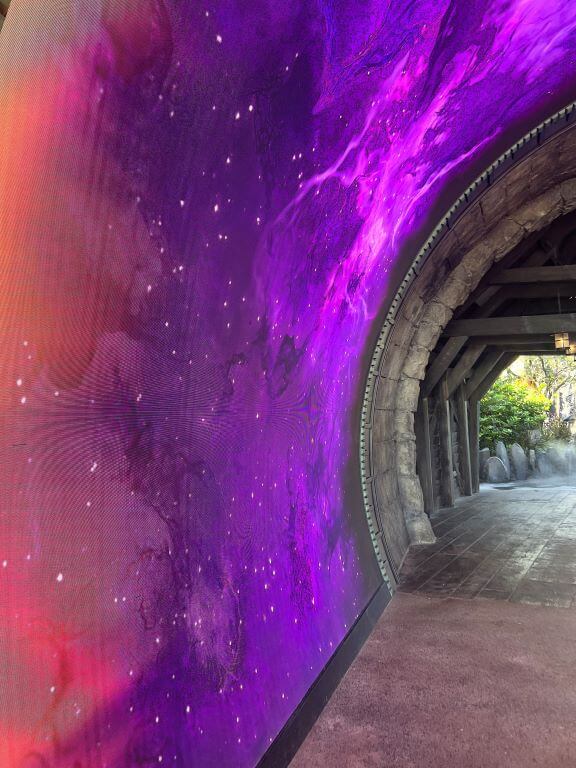 going through dark universe portal